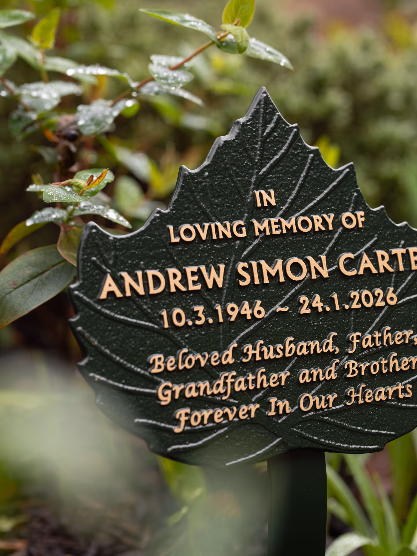 Angled view of a green cast leaf memorial plaque with raised text on a ground stake.