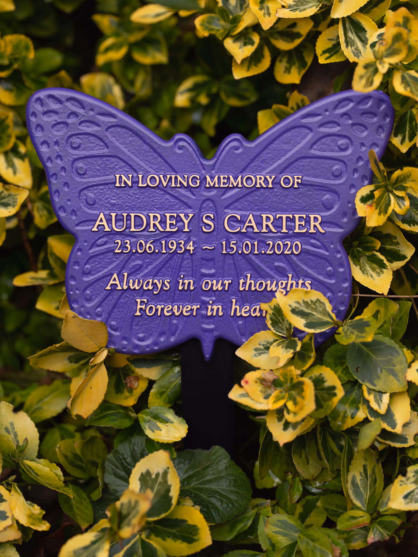 Angled view of a purple butterfly memorial plaque with raised text on a ground stake.