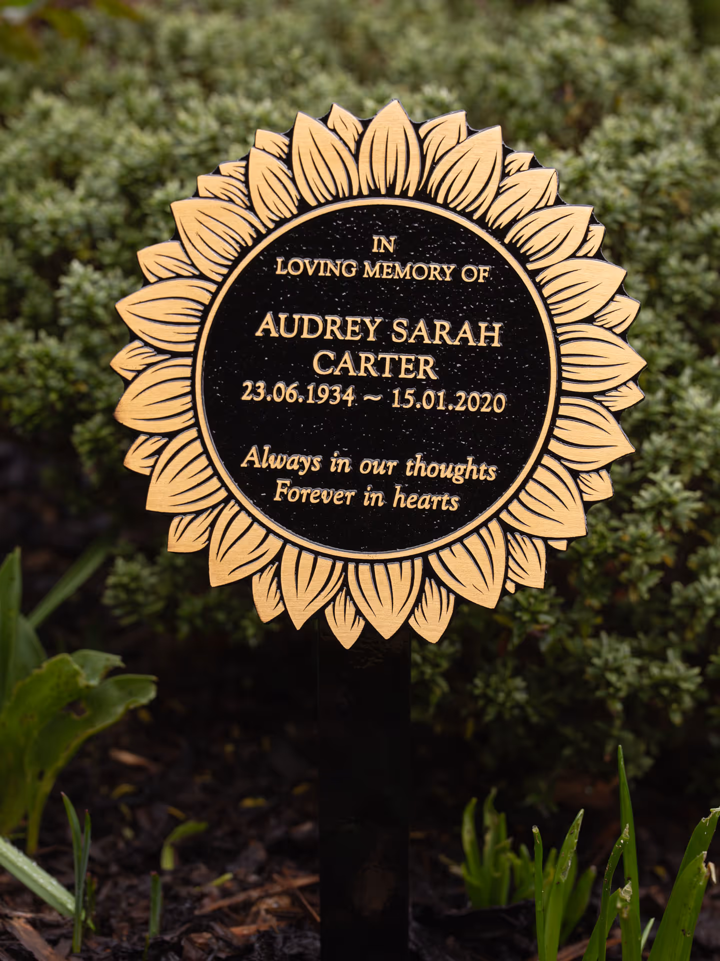 Sunflower memorial plaque in cast bronze with durable black powder-coated finish for graves or remembrance gardens.