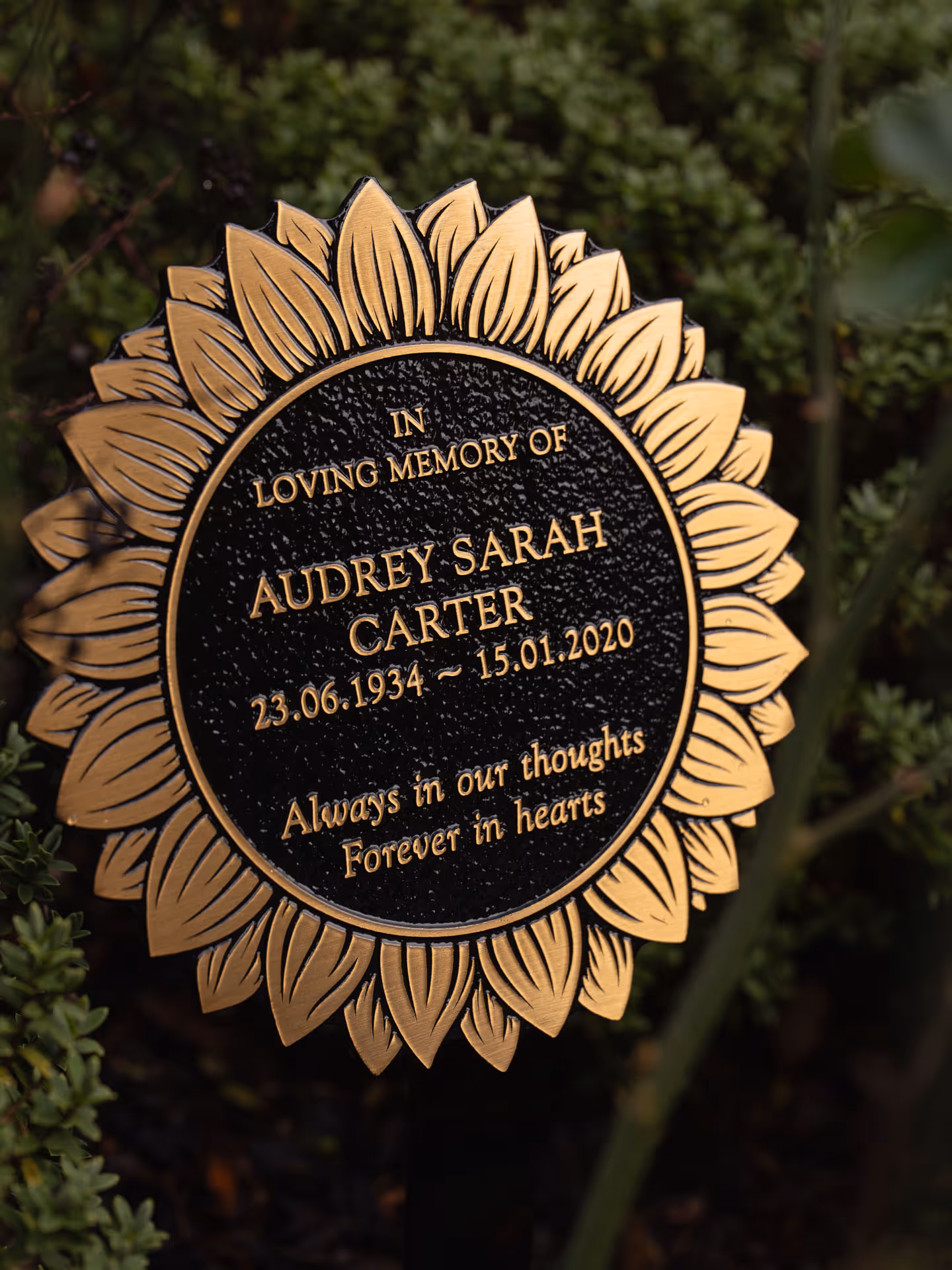 Sunflower memorial plaque in cast bronze with durable black powder-coated finish for graves or remembrance gardens.