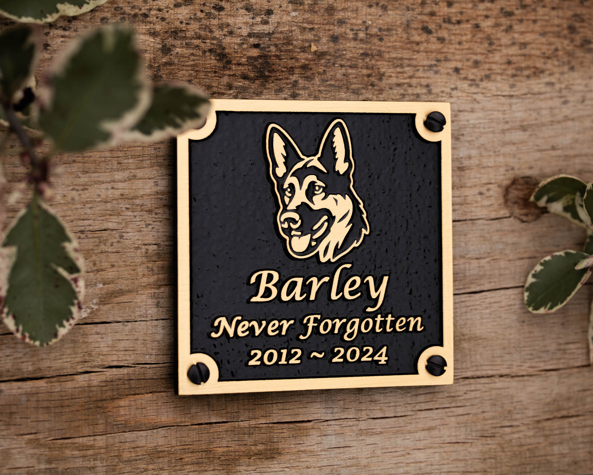 Cast bronze dog memorial plaque featuring a personalised German Shepherd motif with raised detailing on a textured black background. Engraved with 'Barley – Never Forgotten – 2012 ~ 2024', this bespoke plaque offers a heartfelt tribute to a cherished canine companion. Weather-resistant and durable, ideal for outdoor remembrance gardens, pet cemeteries, or dedicated memorial spaces.
