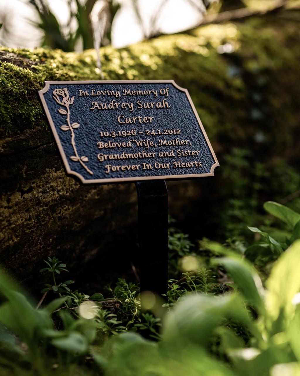 Ornate cast bronze memorial plaque with a textured black background and decorative scalloped edges, featuring an integral ground stake for secure outdoor placement. Embellished with a delicate raised rose design and elegant lettering, this weather-resistant plaque offers a timeless tribute to a loved one. Perfect for cemeteries, gardens, and natural memorial spaces, designed for lasting remembrance in all weather conditions.
