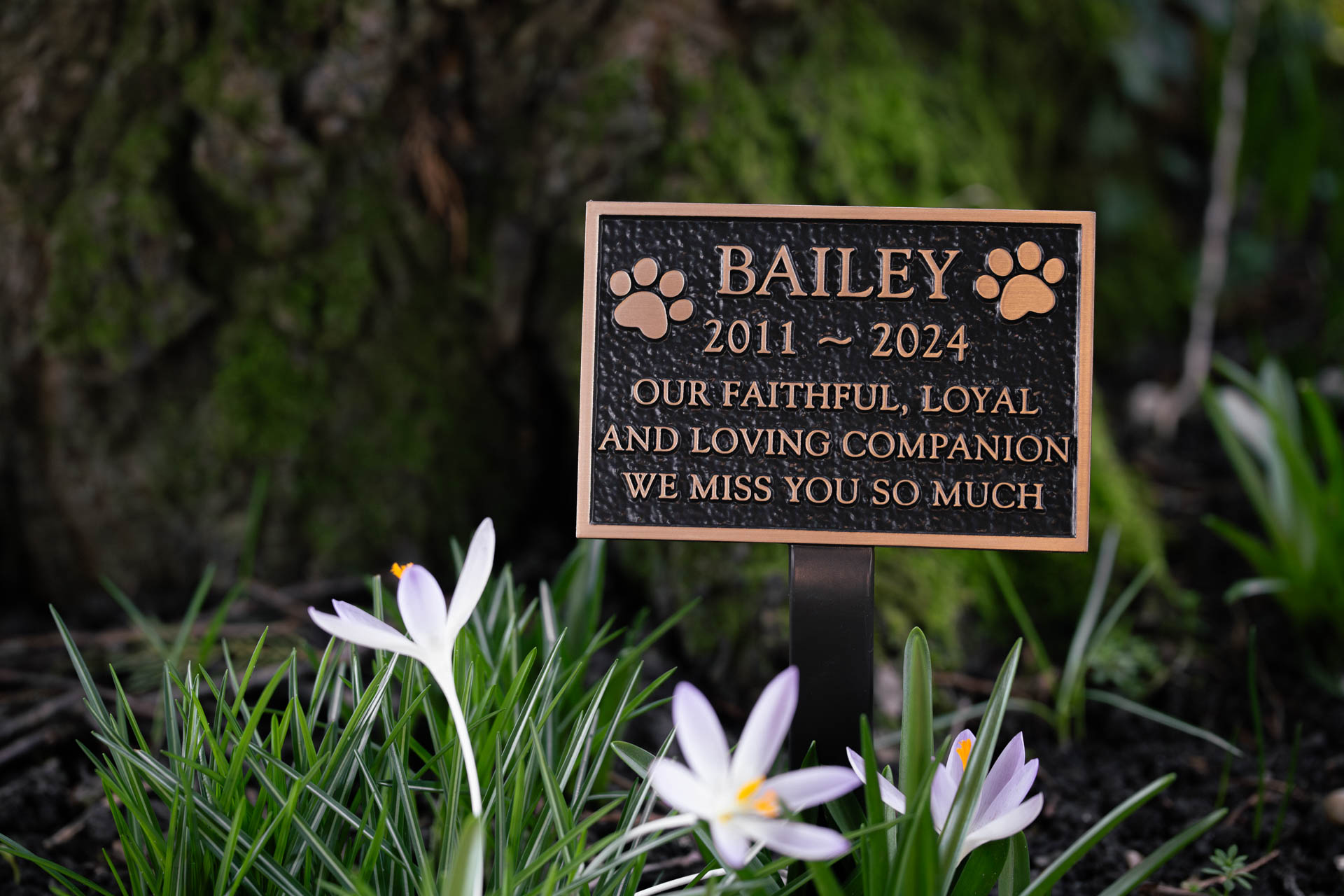 Beautifully crafted cast bronze and aluminium pet memorial plaques with raised lettering and customisable painted background finishes. Designed for durability in all weather conditions, these bespoke plaques offer a lasting tribute to beloved pets. Available in a range of styles and finishes, perfect for gardens, cemeteries, and memorial spaces.