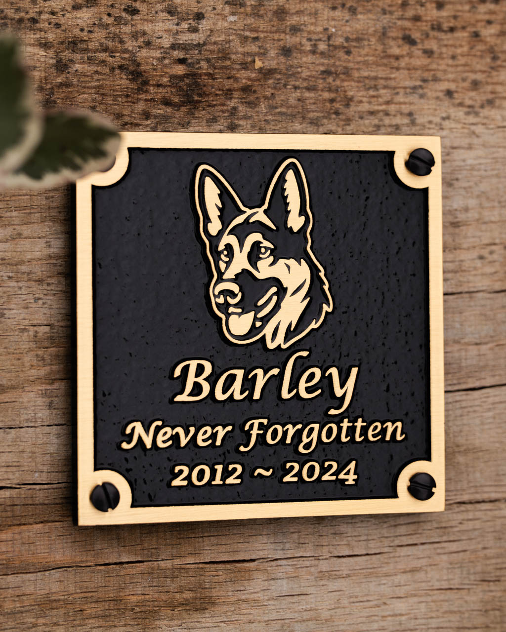 Cast bronze dog memorial plaque featuring a personalised German Shepherd motif with raised detailing on a textured black background. Engraved with 'Barley – Never Forgotten – 2012 ~ 2024', this bespoke plaque offers a heartfelt tribute to a cherished canine companion. Weather-resistant and durable, ideal for outdoor remembrance gardens, pet cemeteries, or dedicated memorial spaces.