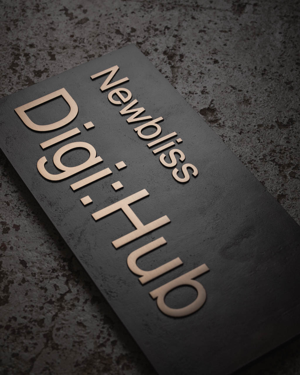 Bespoke cast bronze business sign for 'Newbliss Digi:Hub,' featuring raised bronze lettering on a dark textured background. Designed for durability and a premium aesthetic, this custom plaque is ideal for corporate branding, office entrances, and professional signage. Weather-resistant and long-lasting, perfect for indoor and outdoor display.