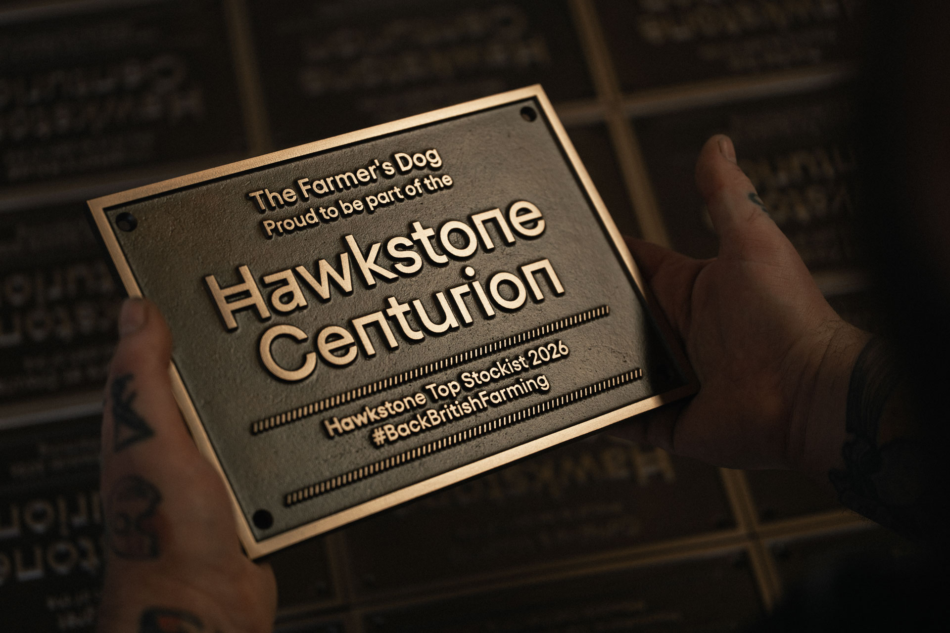 Bespoke Bronze Plaques for Hawkstone