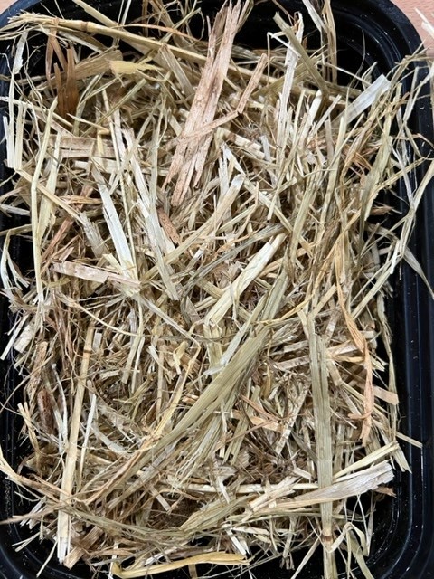 Ground Hay