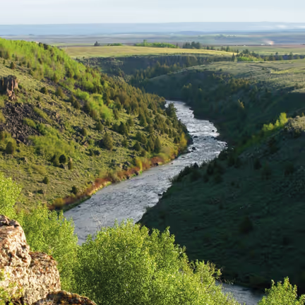 Modern living room with patterned pillows on sofa and leather chair, open to deck overlooking pine trees and mountains.