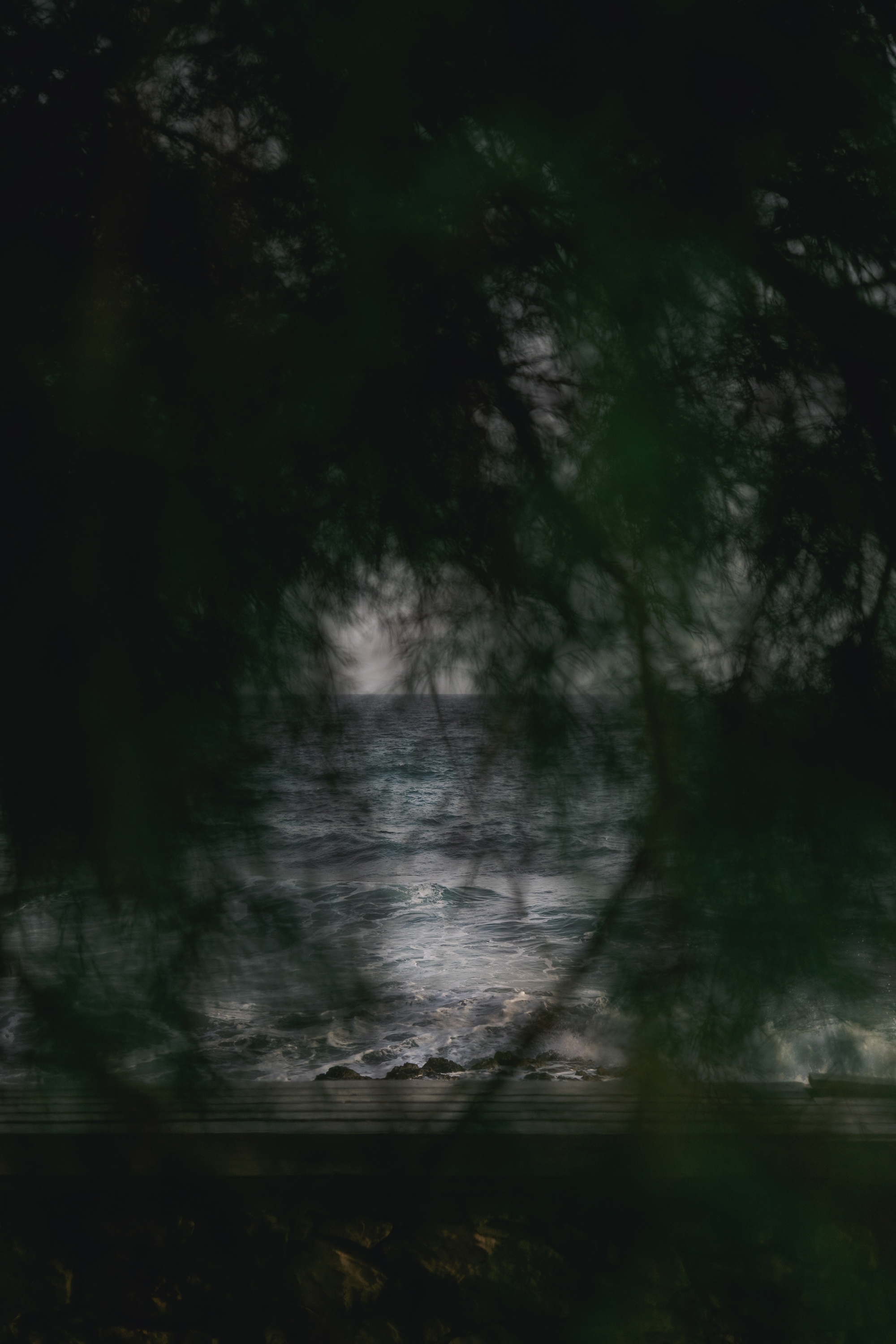 [Photography] 