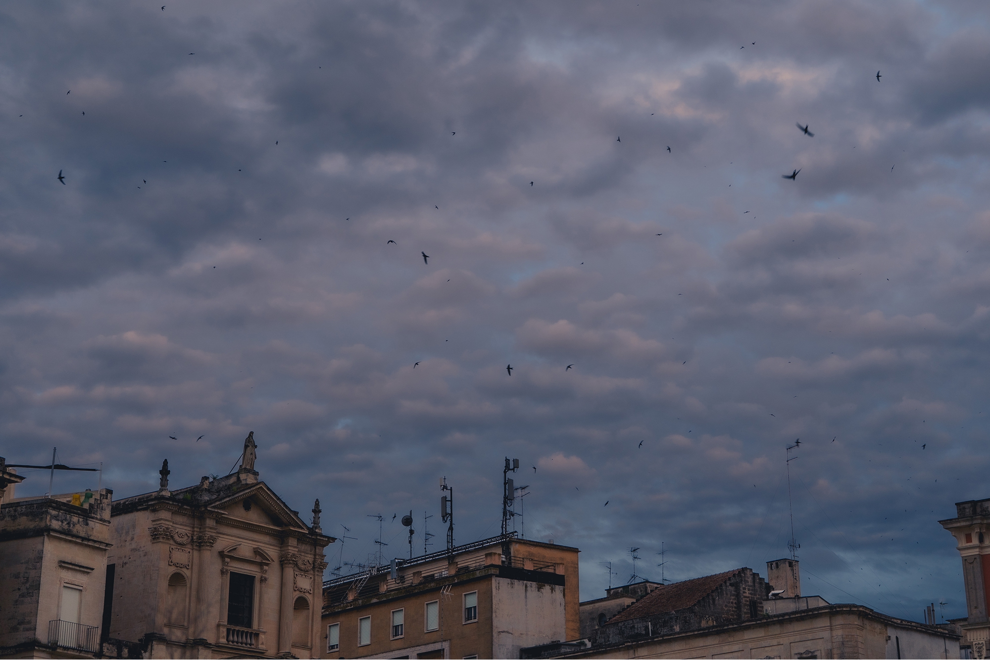 [Photography] 