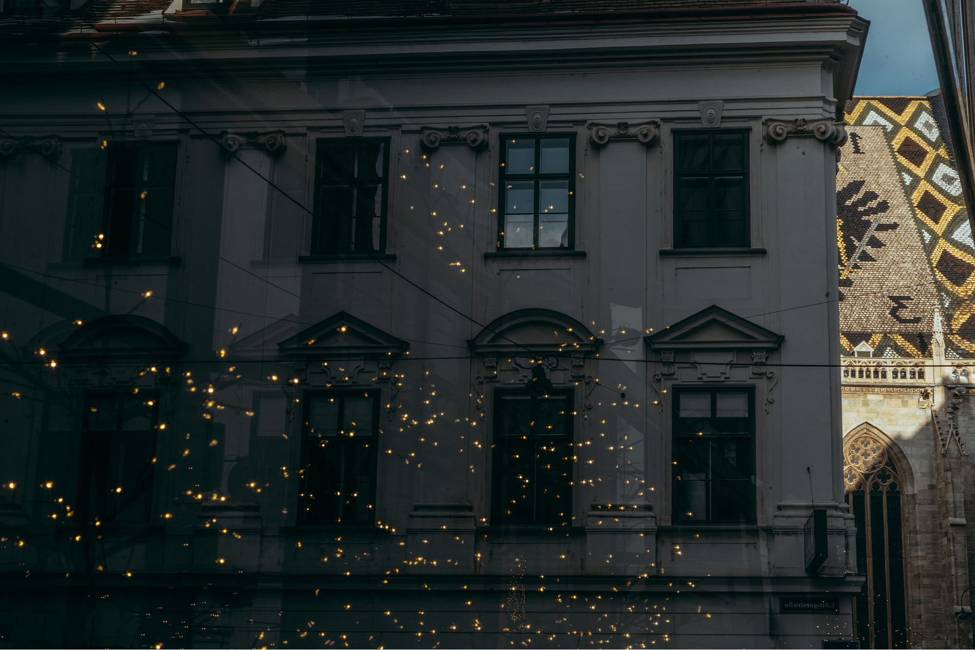 [Photography] 