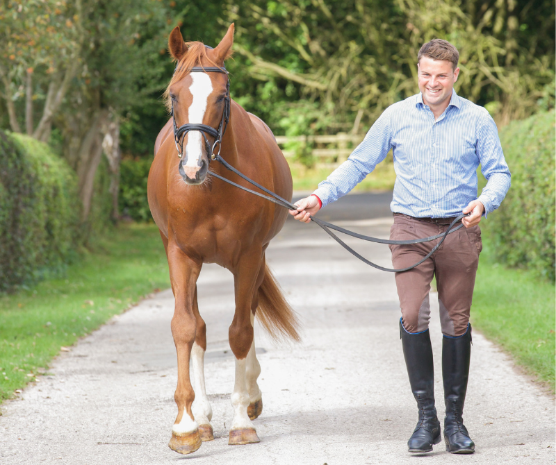 A Norfolk Horse owner 