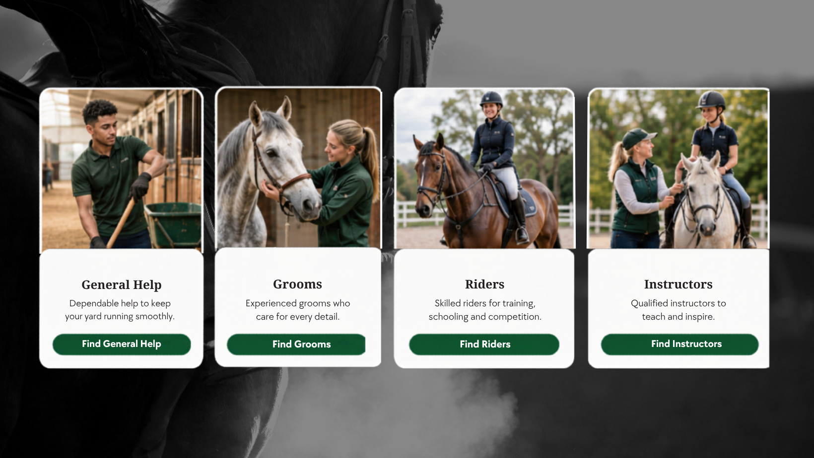 Many Equine Jobs that can be done by Freelancers