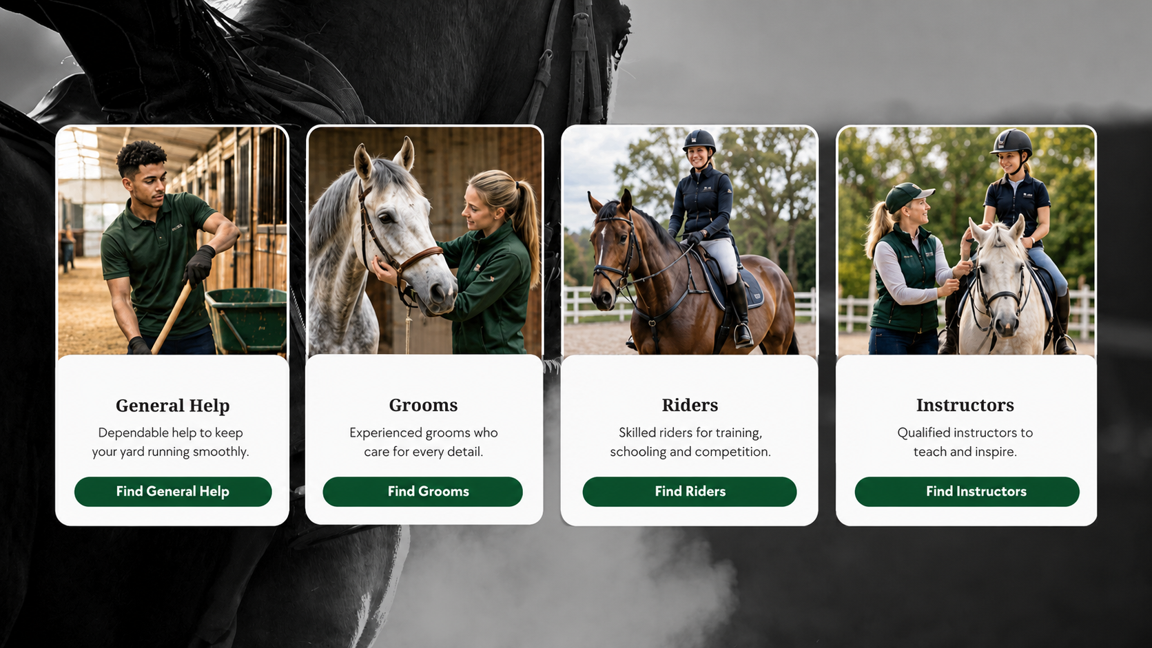 Many Equine Jobs that can be done by Freelancers