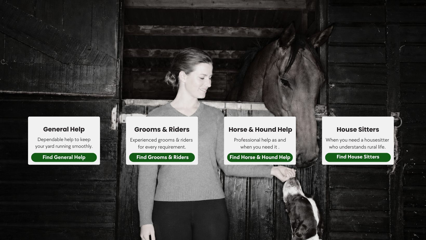 Many Equine Jobs that can be done by Freelancers