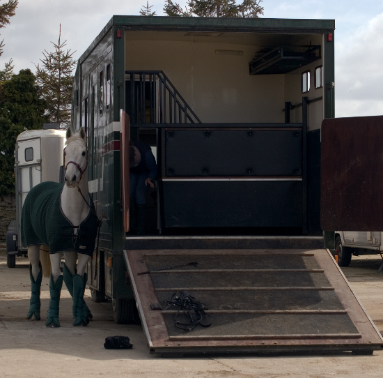 Horsebox and Trailer Drivers