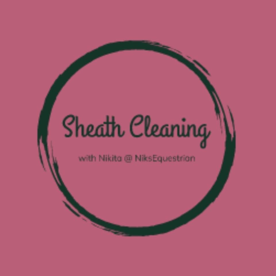 Sheath Cleaning @niks Eq