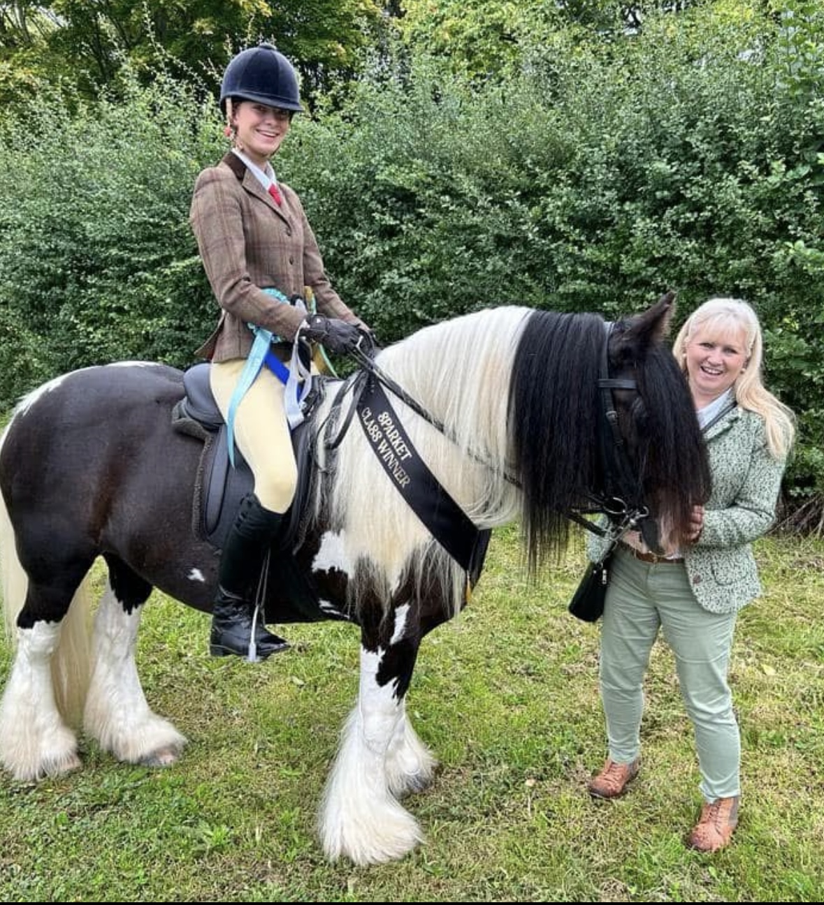 R&l Equine Freelance