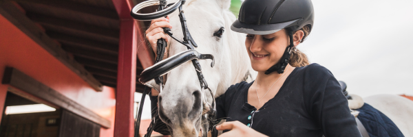 Building Trust as an Equine Freelancer