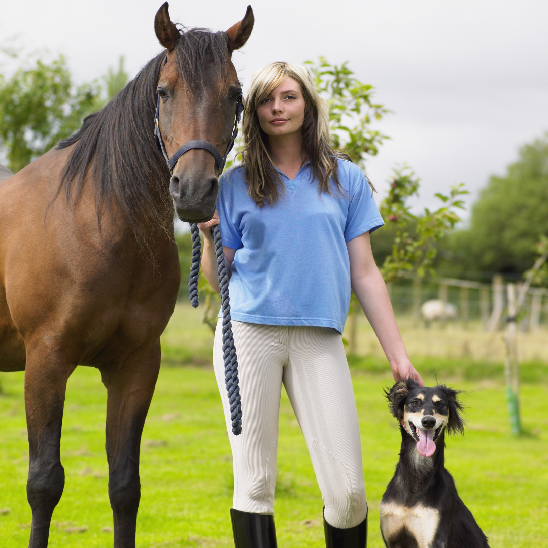 Horses & Hounds Care