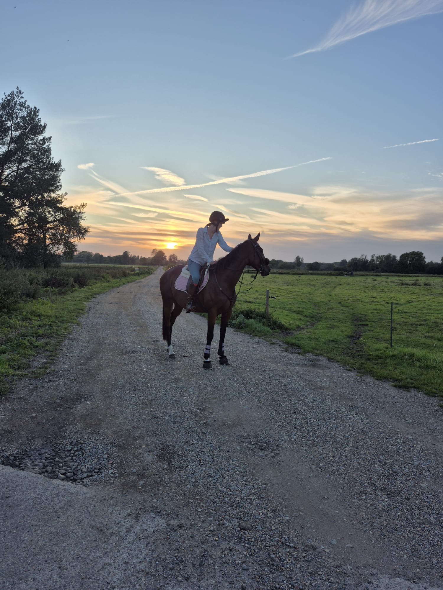 Miss Millie Tobin-Evans