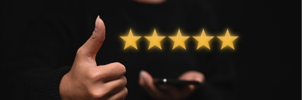 Why Leaving Your Equine Freelancer a Review Matters More Than You Think