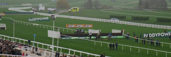 Becoming an Equine Freelancer in Gloucestershire