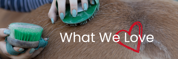 14 Things We Love This February (That Make Freelance Life Easier)