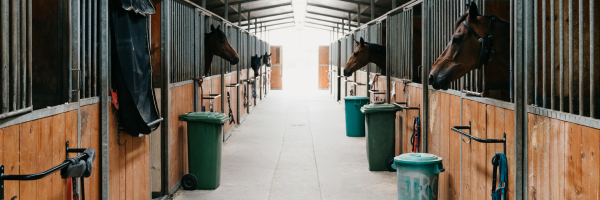 How Long Should It Take to Do a Yard of 22 Horses?