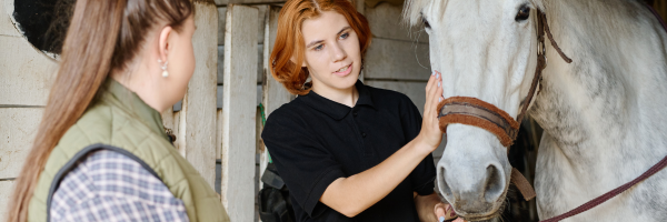 Why More Equine Employers Are Relying on Freelancers in 2026