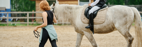 The Main Questions Equine Freelancers Are Asking Right Now (2026 Guide)