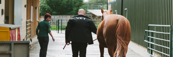 Equine Flu: Why Equine Businesses Still Need Freelance Help, But Must Work Safely