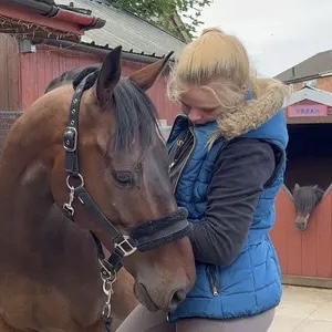 horsey belle