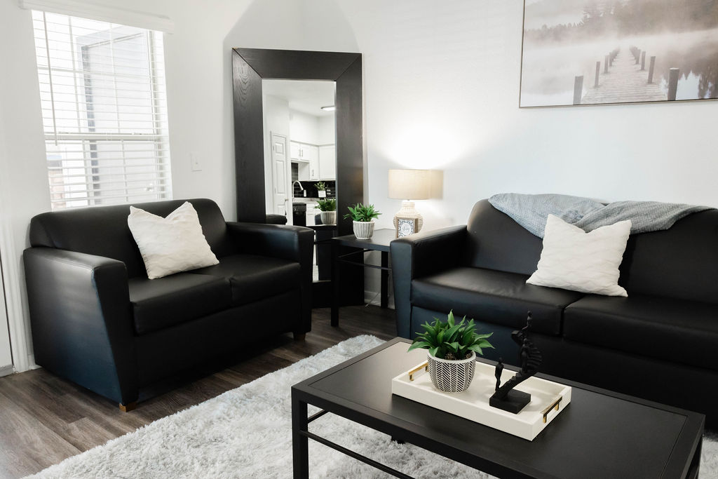 Furnished living room