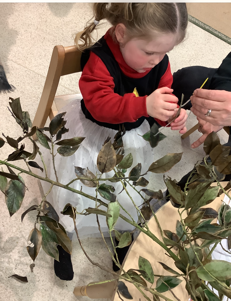 Young girl in a red sweater and white tulle skirt sitting on a chair, examining dried leaves on branches with an adult's hands assisting her.