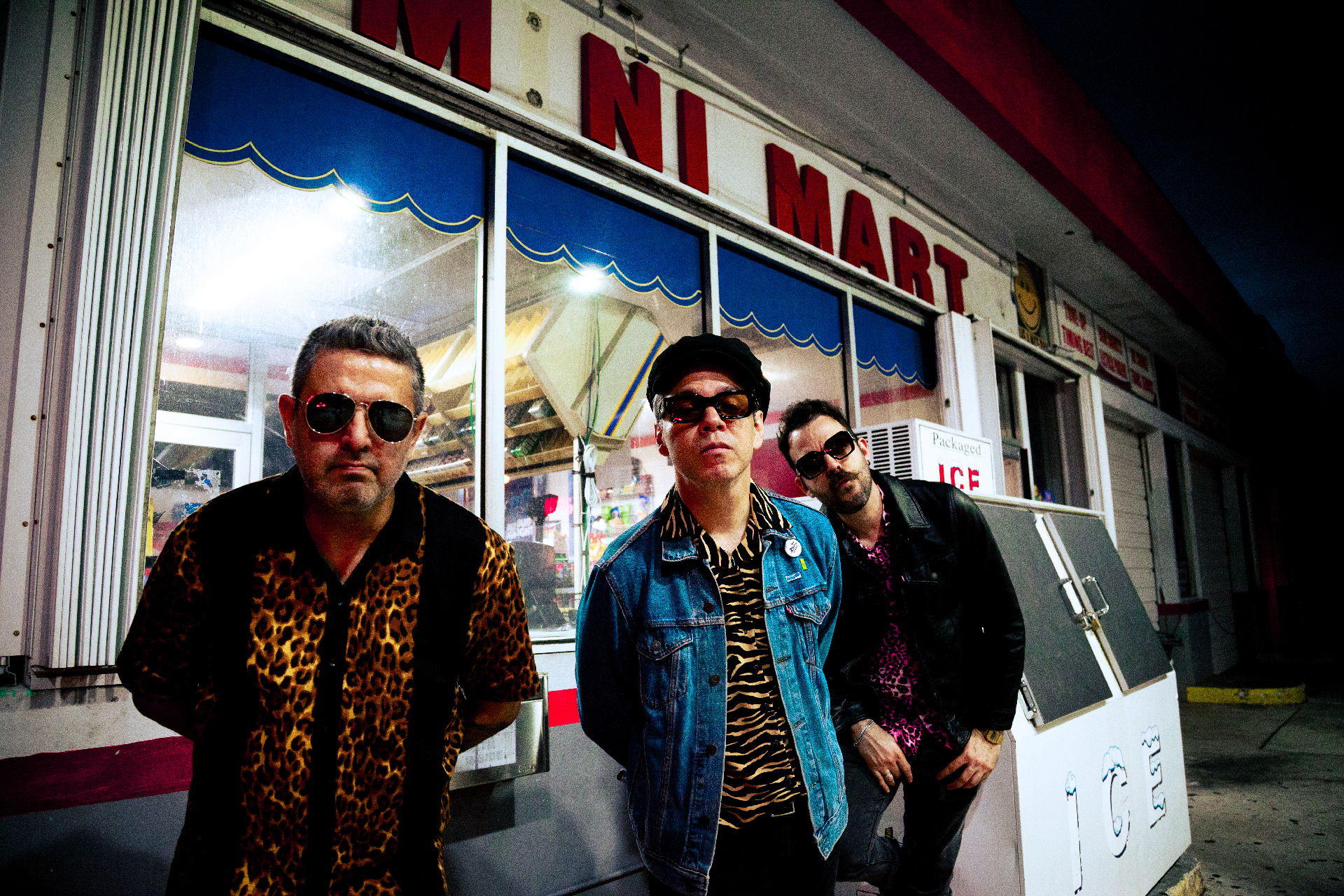 Shaped by Roots, Fueled by Noise: An Interview with The Zappe Cats on Identity and Sonic Growth