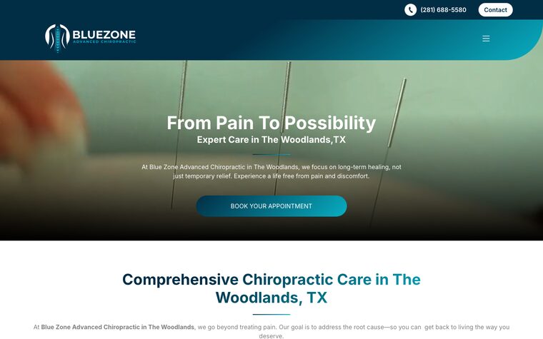Blue Zone Advanced Chiropractic website preview