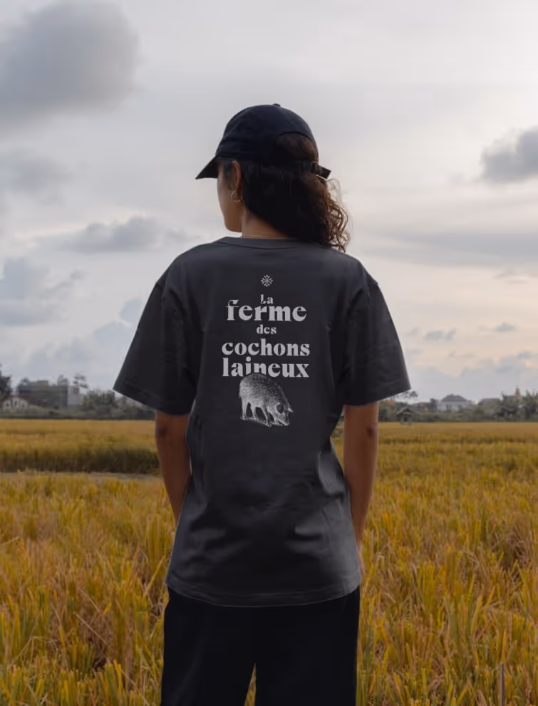 Éléments de charte graphique réalisés pour La Ferme des Cochons Laineux par Studio Edoras, design authentique pour producteurs artisanaux et élevage rustique.