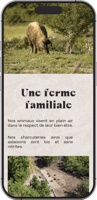 Page du site présentant les produits de La Ferme des Cochons Laineux, charcuterie et conserves artisanales issues d’un élevage respectueux.