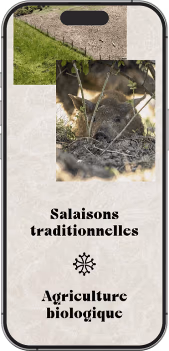 Site vitrine de La Ferme des Cochons Laineux, spécialisé en élevage biologique de cochons laineux, transformation artisanale à la ferme, agriculture respectueuse et production fermière durable.