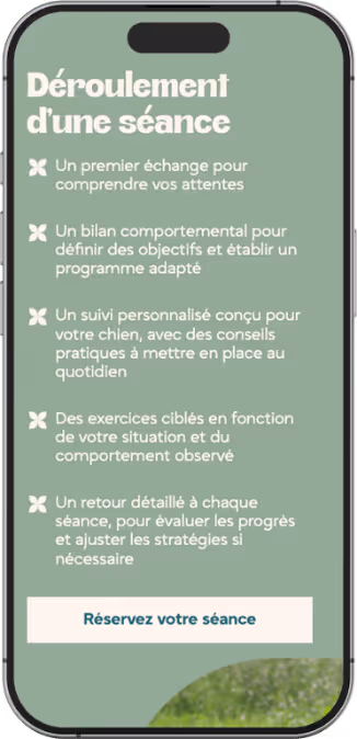 Création de logo et de site internet pour éducateur canin