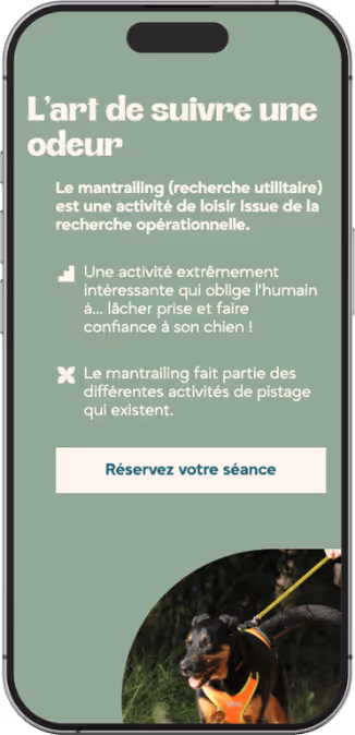 Création de logo et de site internet pour éducateur canin