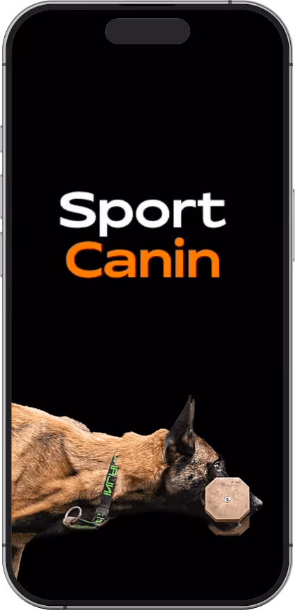 Création de site internet pour club canin spécialisé en sport canin