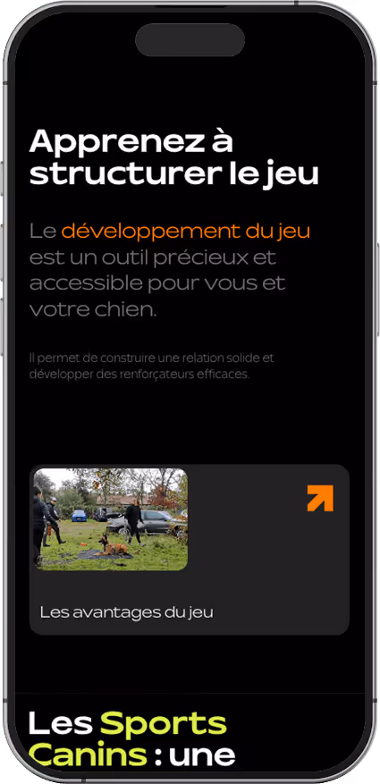 Site internet animé pour Sport Dog Training, éducateur canin et spécialisé en sport canin