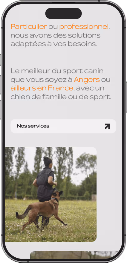 Site internet responsive pour Sport Dog Training, éducateur canin et spécialisé en sport canin