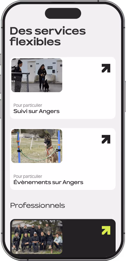 Création de site internet dynamique pour club canin spécialisé en sport canin.