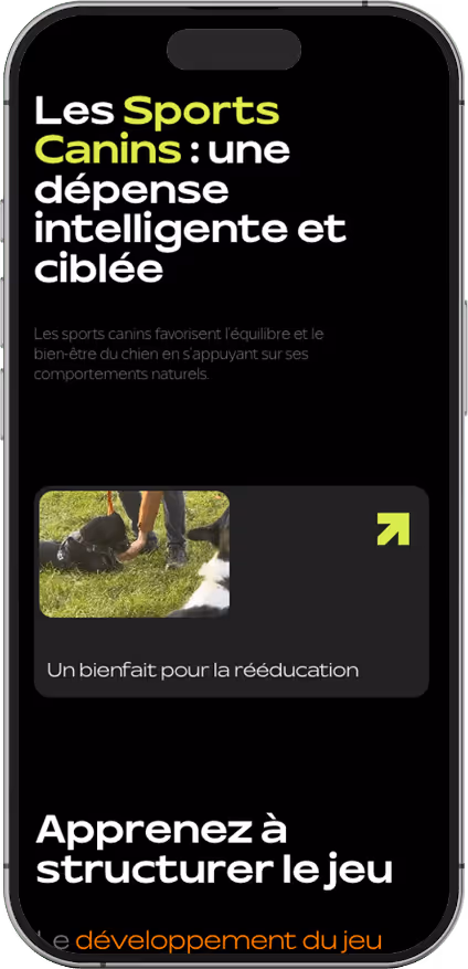 Création de site internet mobile pour club canin spécialisé en sport canin