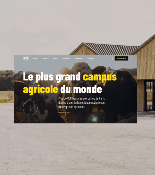 Design et webdesign d'un site internet réalisé par les graphistes à Bordeaux pour la création d'un site internet pour startup dans le secteur agricole et donc création de site internet pour agriculteur