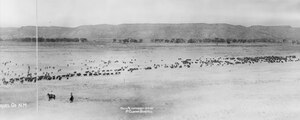 YourRoots Map_First Name Meaning_Famous People_Bell Ranch