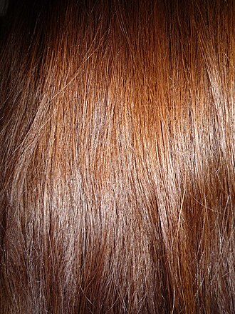 YourRoots Map_Surname_Famous People_Body hair